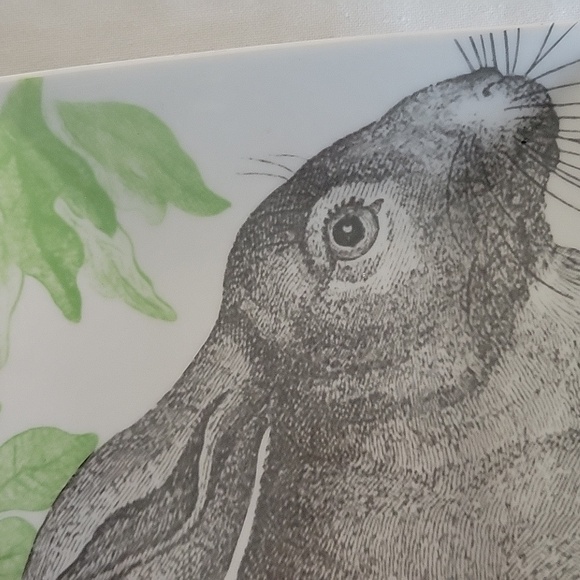 Hors d'oeuvres‎ Rabbit Plate With Green Leaves - Picture 2 of 5